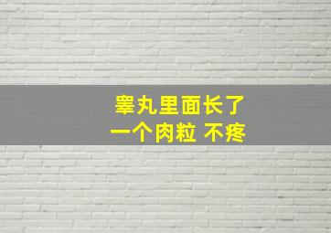 睾丸里面长了一个肉粒 不疼